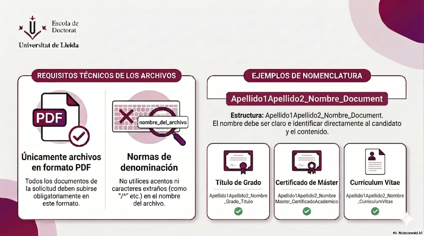 GuiaFomatFitxersCAS